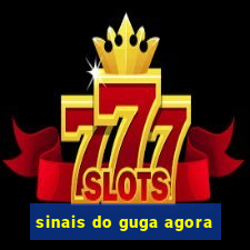sinais do guga agora